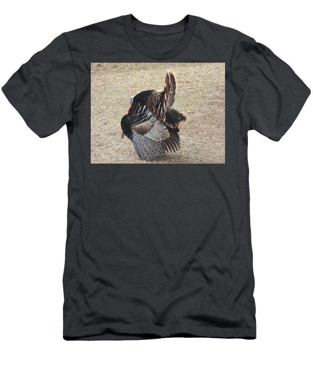 Wild Turkey T-Shirt featuring the photograph Wild Turkey Tom 3 by Amanda R Wright