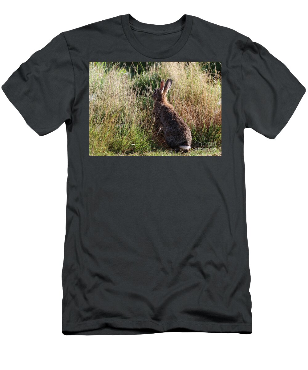 Hare T-Shirt featuring the photograph Wildlife at Sunrise by Eva Lechner
