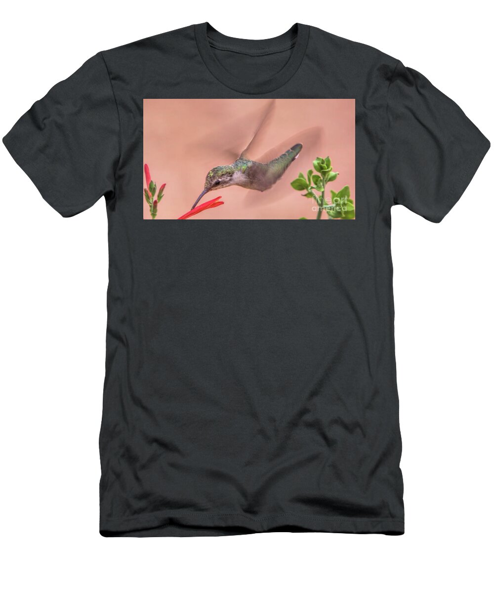 Arizona T-Shirt featuring the photograph Wildlife_Anna's Hummingbird_Sedona_Arizona_IMGL1992 by Randy Matthews