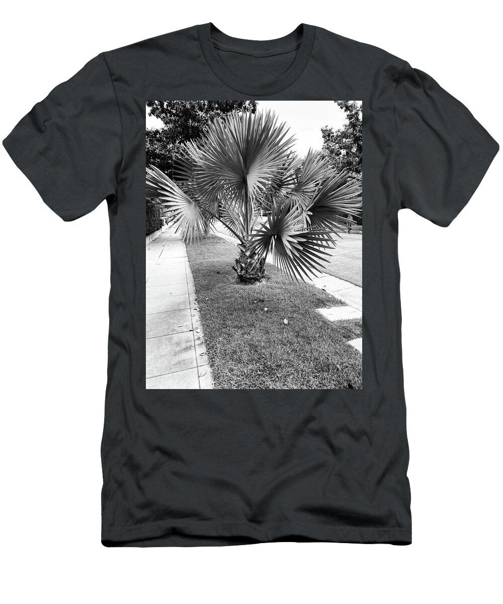 Palm T-Shirt featuring the photograph Will I Be Tall One Day by Calvin Boyer