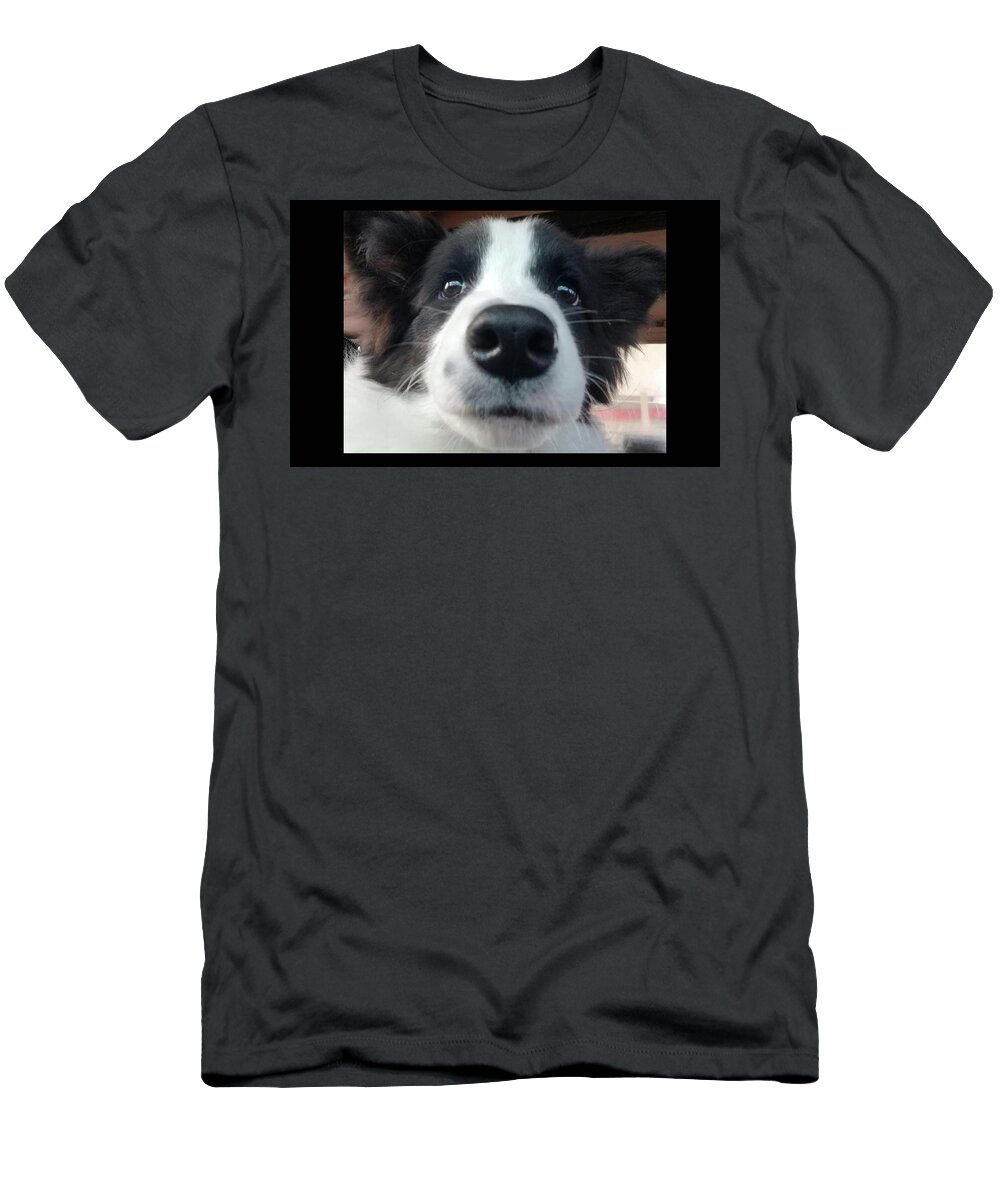 William Reber T-Shirt featuring the photograph William Reber Puppy by Robert Banach