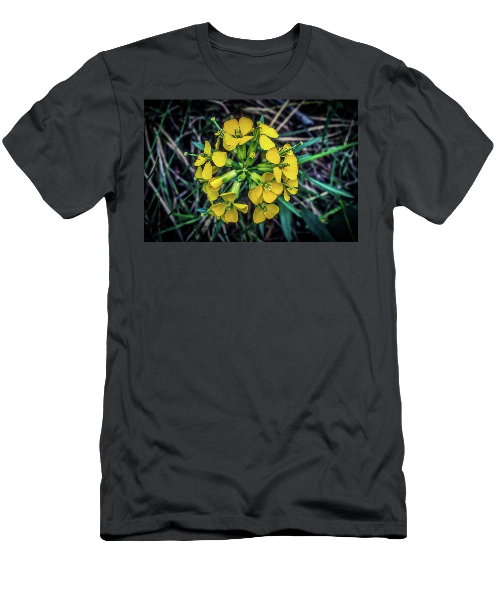 Flower T-Shirt featuring the photograph Willow Grass of Montana by James C Richardson
