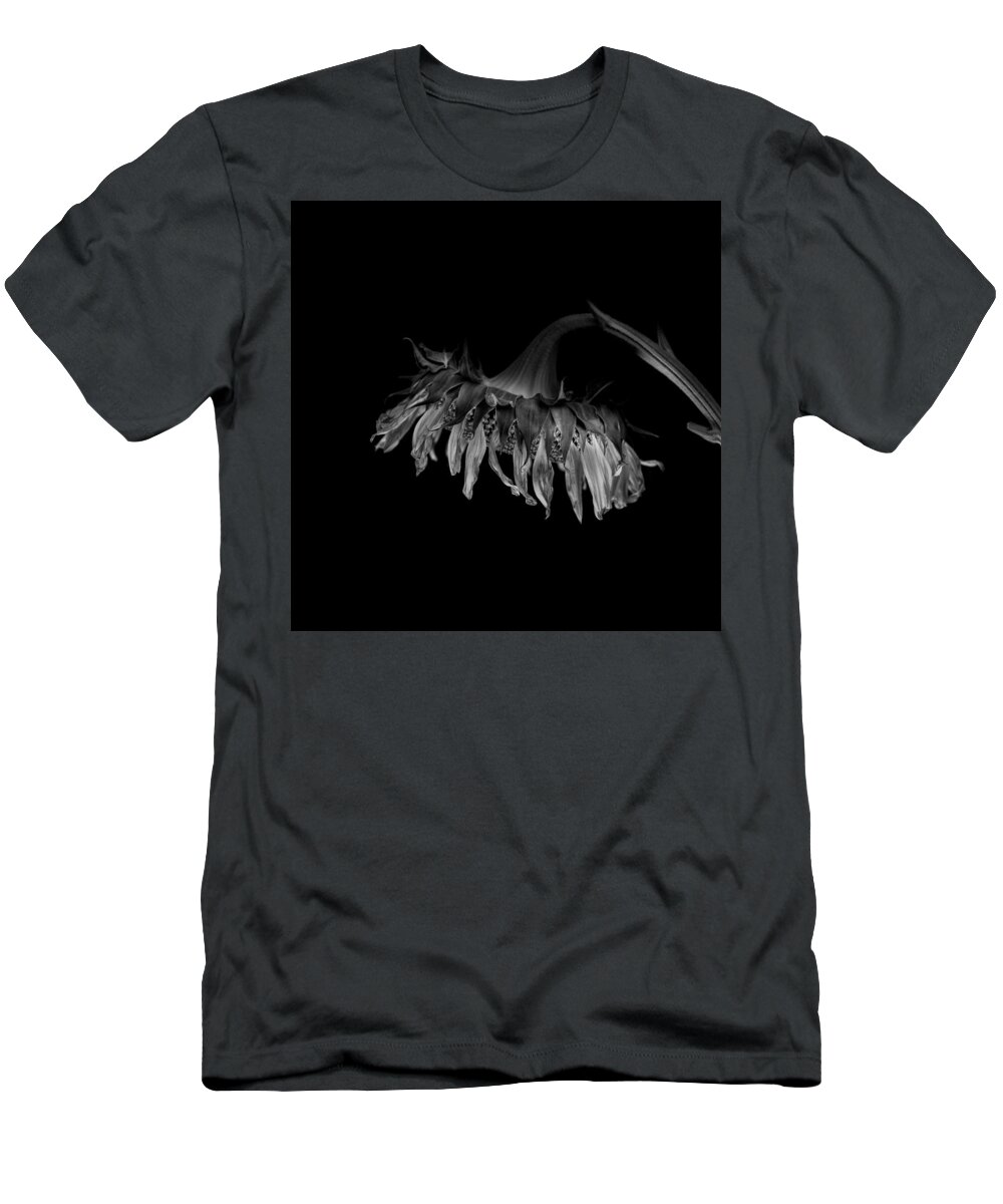 Wilting Flower T-Shirt featuring the photograph Wilting sunflower, beauty in decay by Alessandra RC