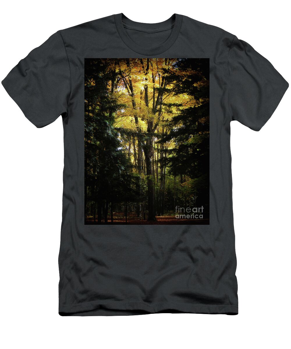 Evergreen T-Shirt featuring the photograph Window Of Yellow by AnnMarie Parson-McNamara