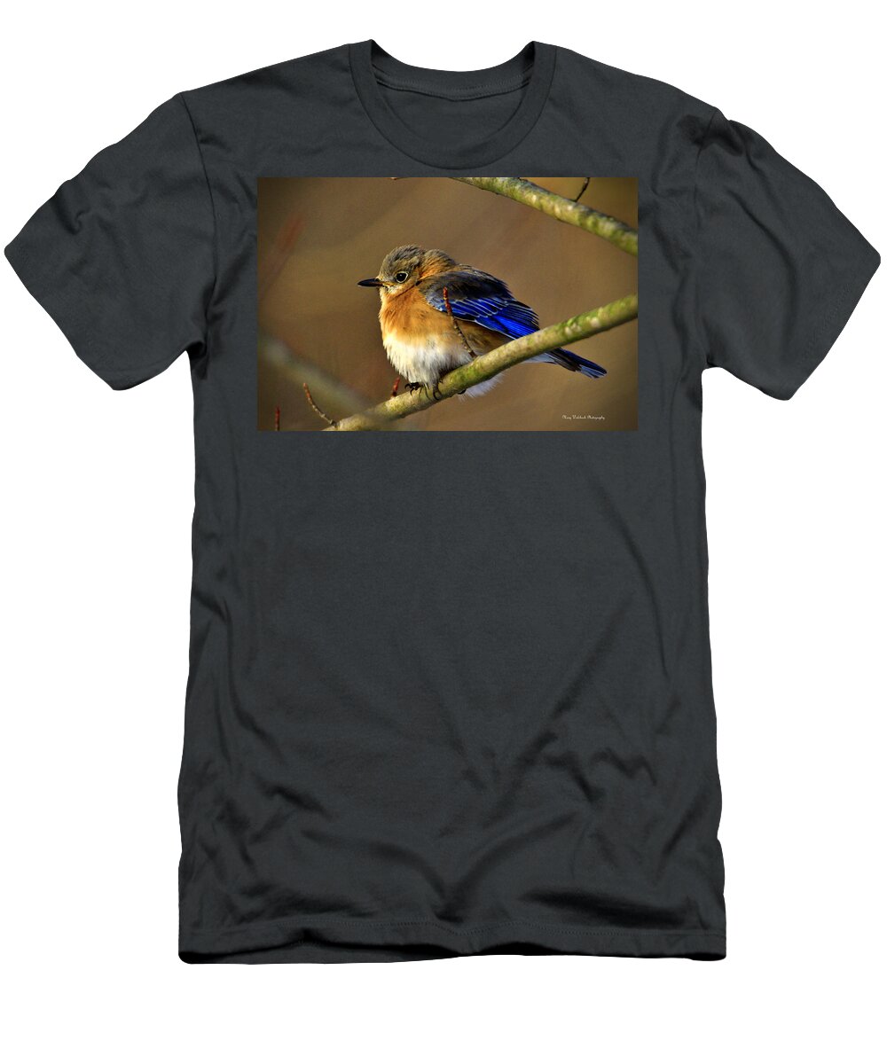 Eastern Bluebird T-Shirt featuring the photograph Winter Bluebird by Mary Walchuck