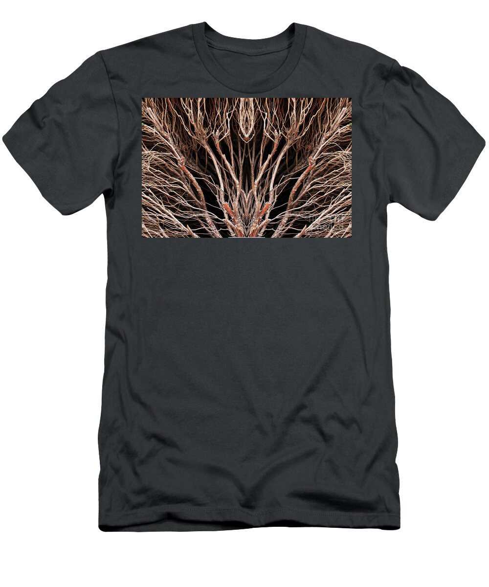 Branches; Shrubbery; Brown; Symmetry; Close-up; T-Shirt featuring the photograph Winter Branches by Tina Uihlein