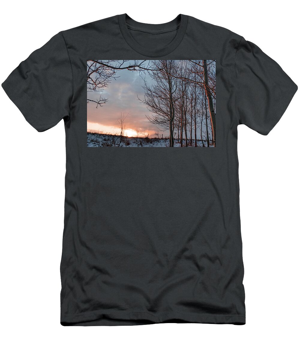 Winter T-Shirt featuring the photograph Winter Dawn With Aspen Trees by Phil And Karen Rispin