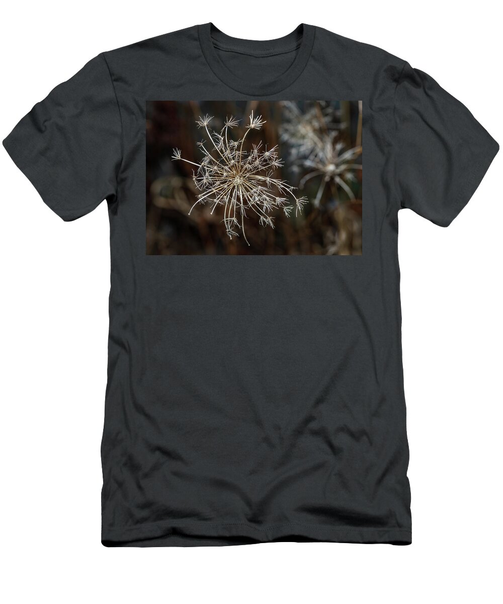 Daucus Carota T-Shirt featuring the photograph Winter Flora by Amelia Pearn