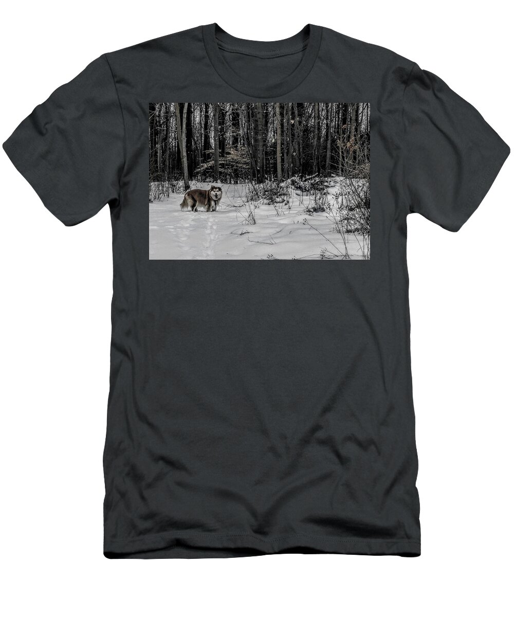  T-Shirt featuring the photograph Winter Hike by Brad Nellis