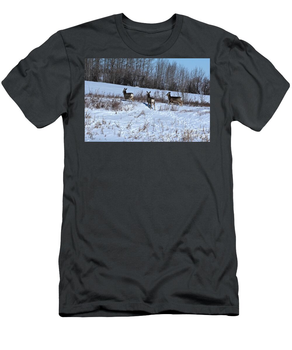 Mule Deer T-Shirt featuring the photograph Winter Mule Deer by Ann E Robson