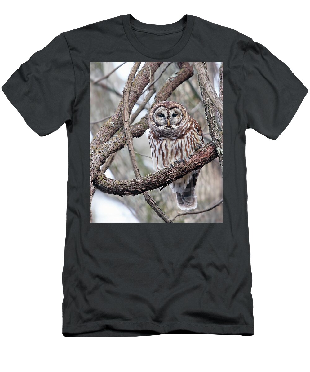 Owl T-Shirt featuring the photograph Winter Perch by Gina Fitzhugh
