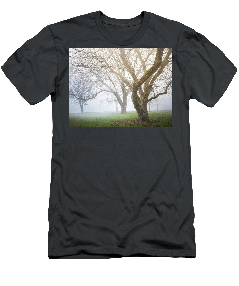 Trees T-Shirt featuring the photograph Winter Woodland In Fog by Jordan Hill