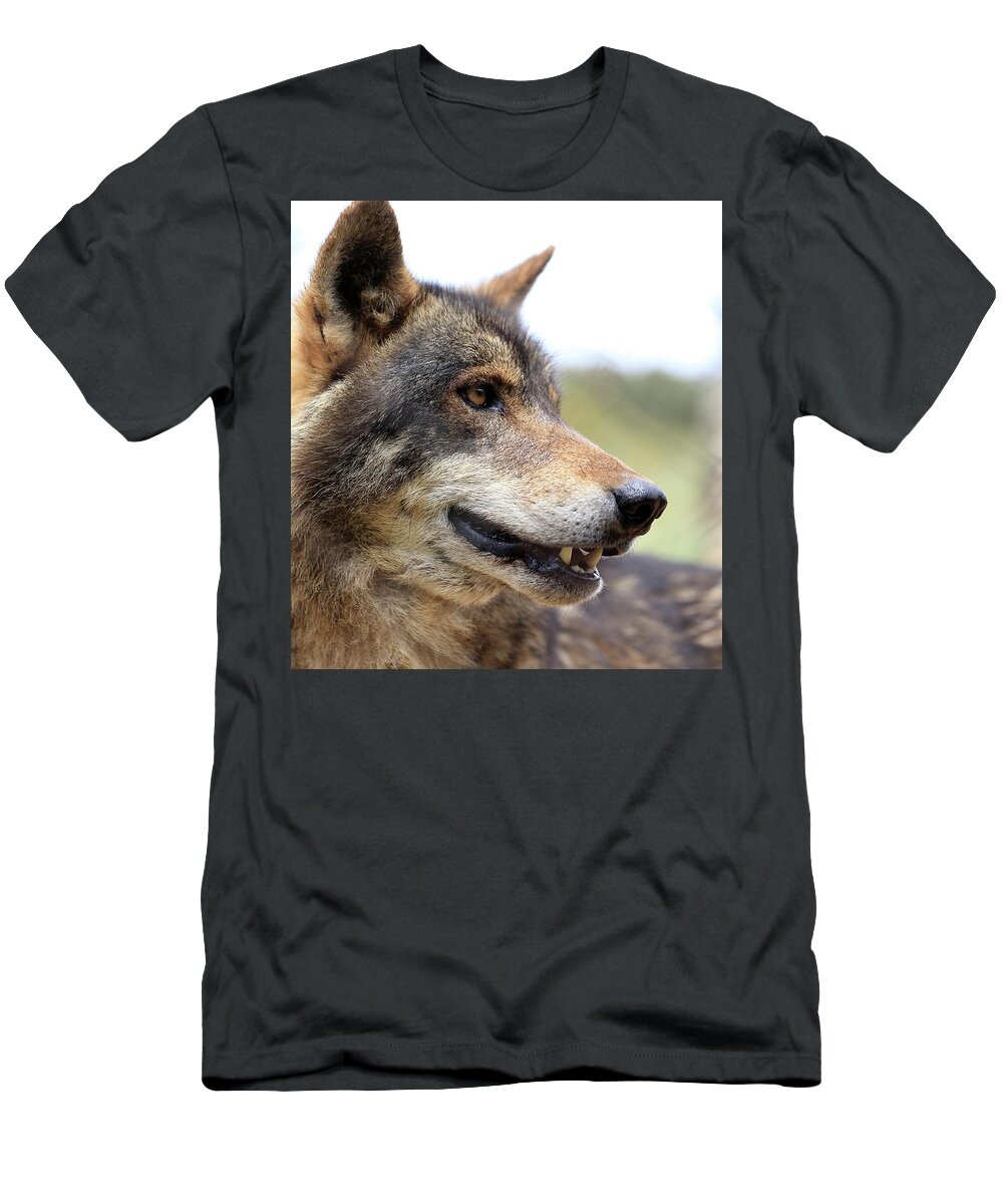 Wolf T-Shirt featuring the photograph Wolf, portrait by Tony Mills