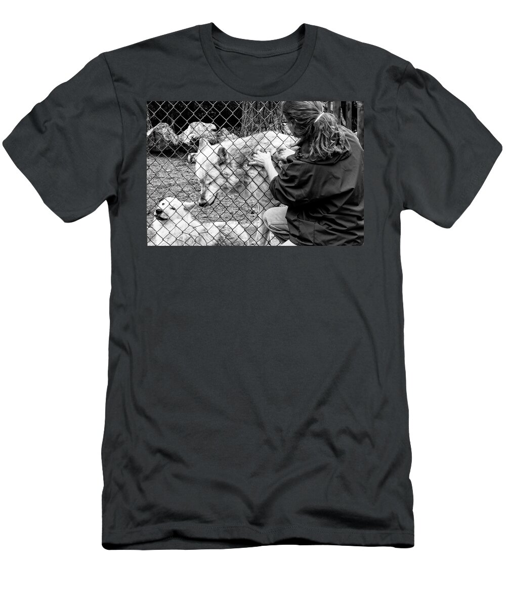 Wolves T-Shirt featuring the photograph Wolves by Cynthia Dickinson