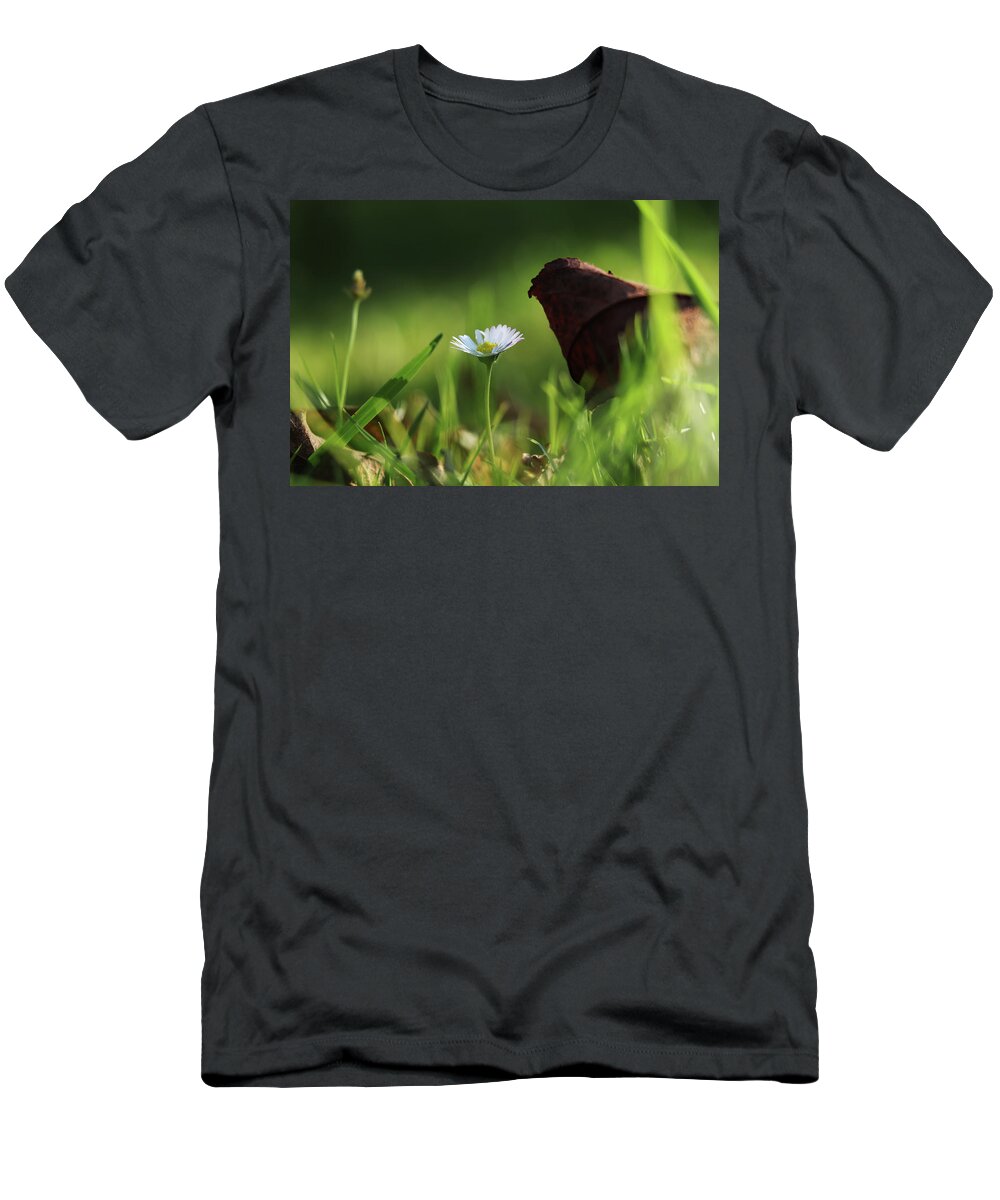 Halloween T-Shirt featuring the photograph Wonderful white daisy between marple leaf and grass on the garden. Touch of a beauty. Magic of nature in real time. Happiness from wildness by Vaclav Sonnek