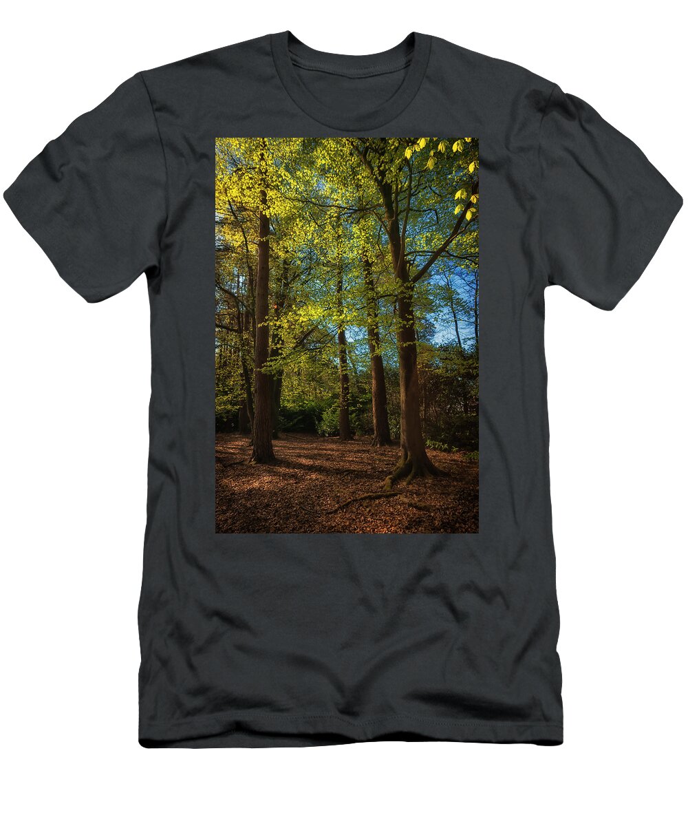 Woodland T-Shirt featuring the photograph Woodland by Chris Boulton