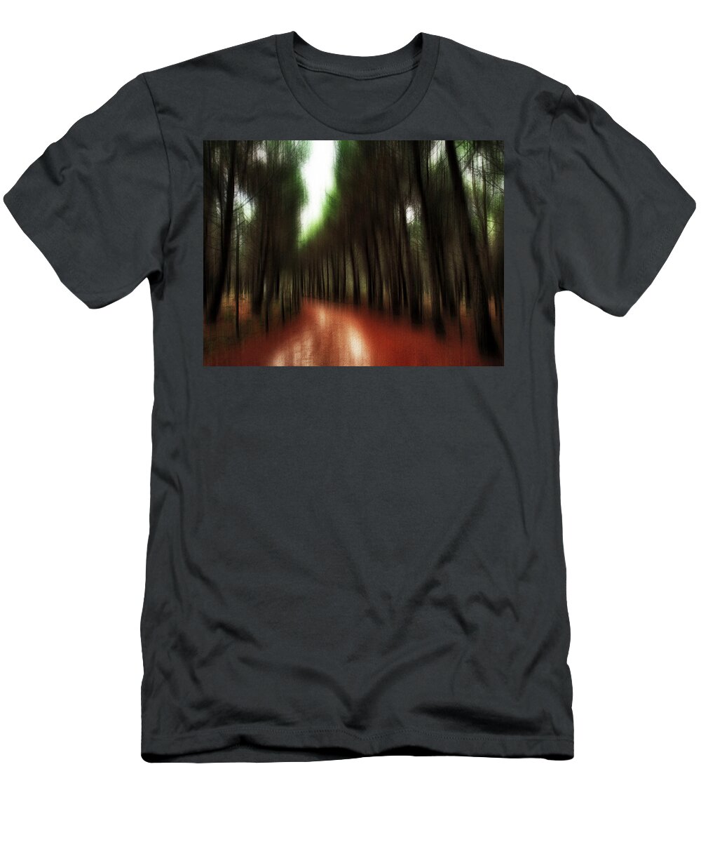 Woodland T-Shirt featuring the photograph Autumn path 2 by Al Fio Bonina