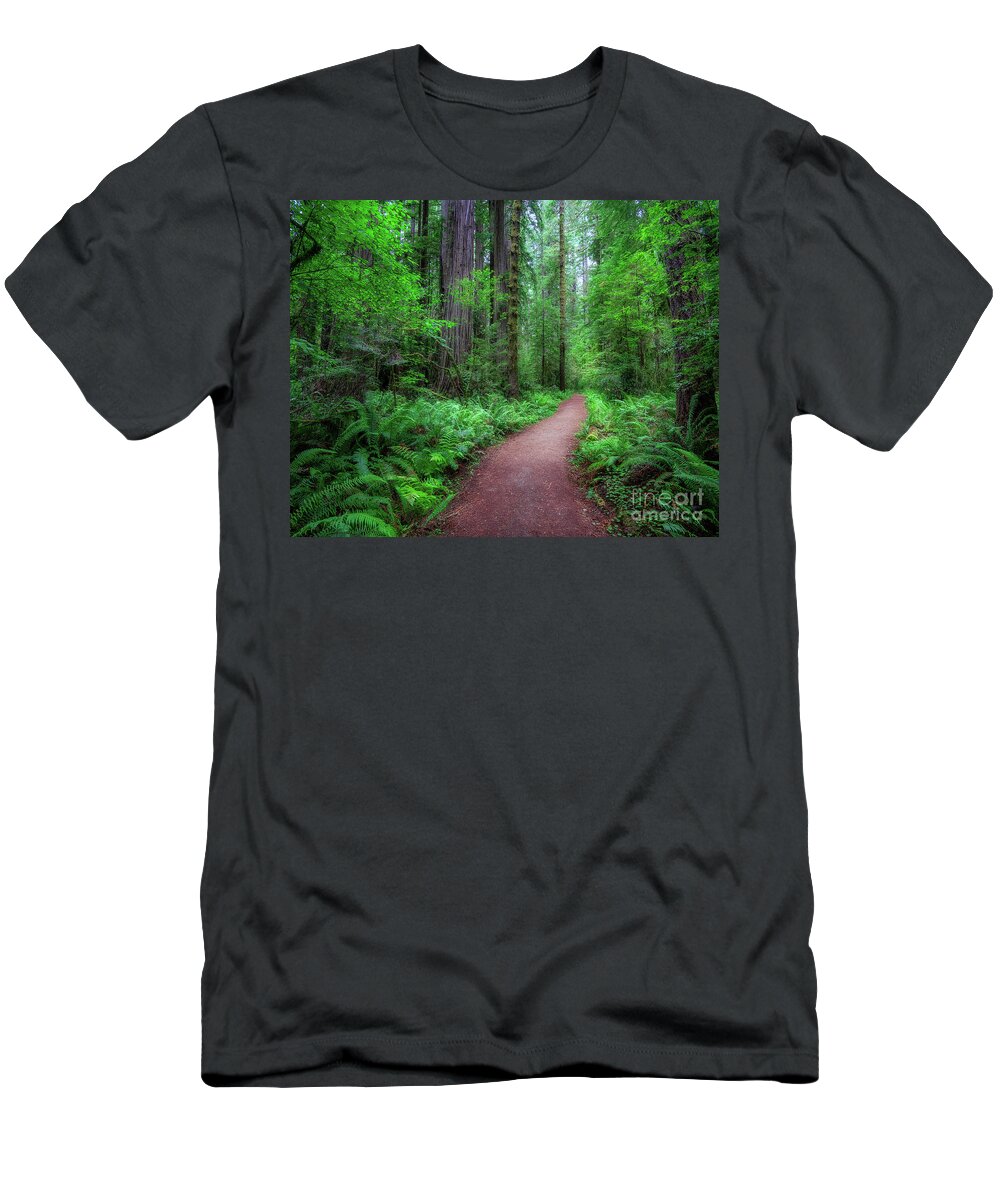 California T-Shirt featuring the photograph Woods by Izet Kapetanovic