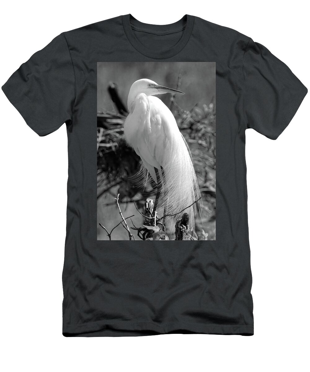 Great Egret T-Shirt featuring the photograph Wrapped in Feathers by Jerry Griffin