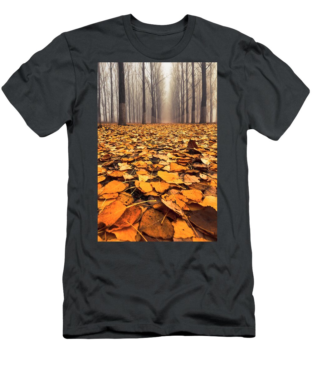 Bulgaria T-Shirt featuring the photograph Yellow Carpet by Evgeni Dinev