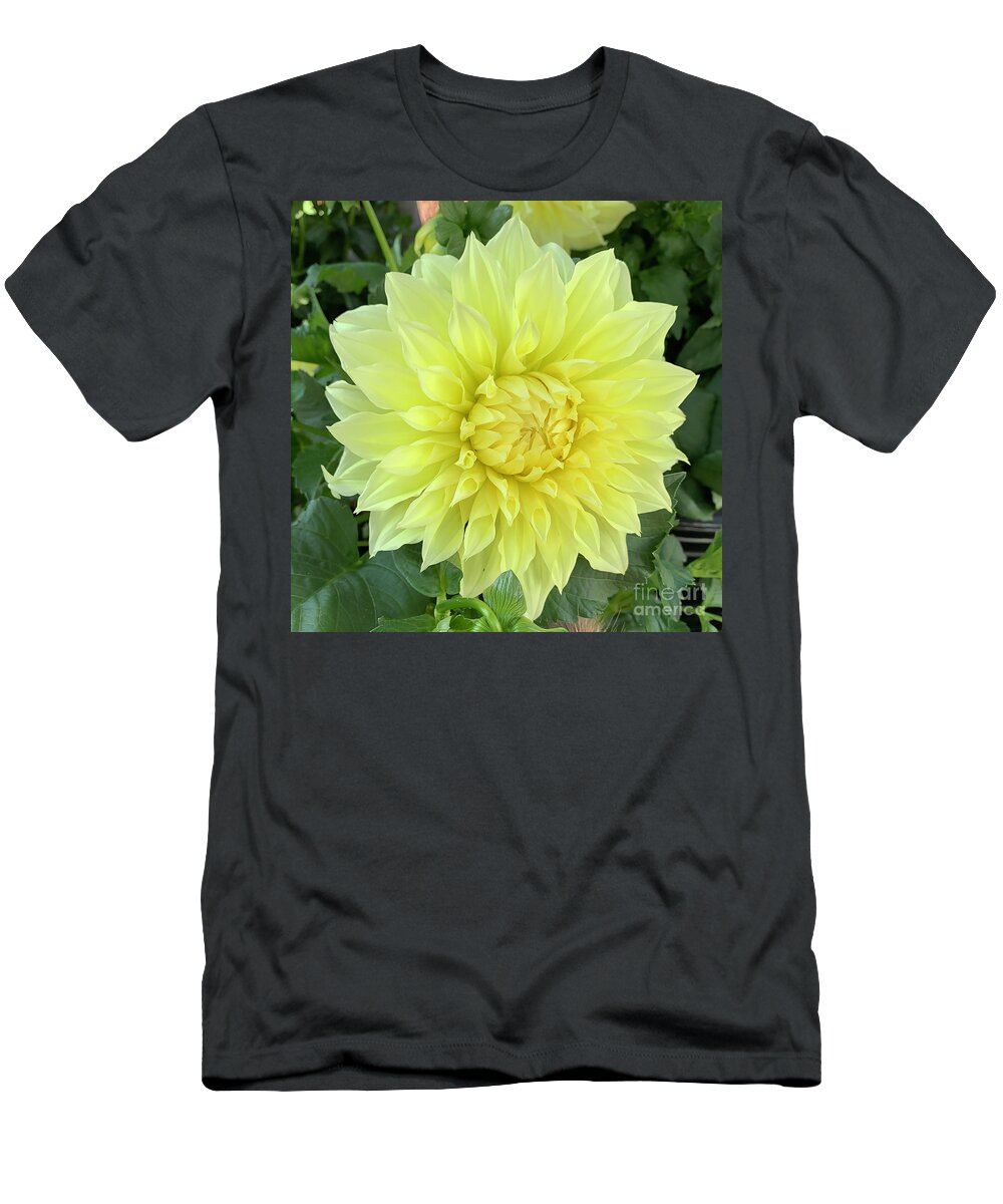Floral T-Shirt featuring the digital art Yellow Dahlia Bloom by Kirt Tisdale