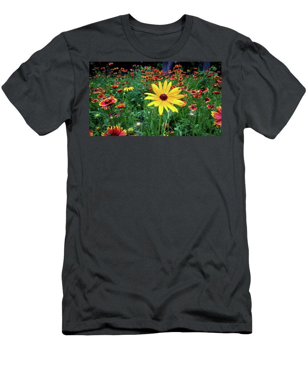 Yellow Flower Field Green Red T-Shirt featuring the photograph Yellow Flower in Field by David Morehead