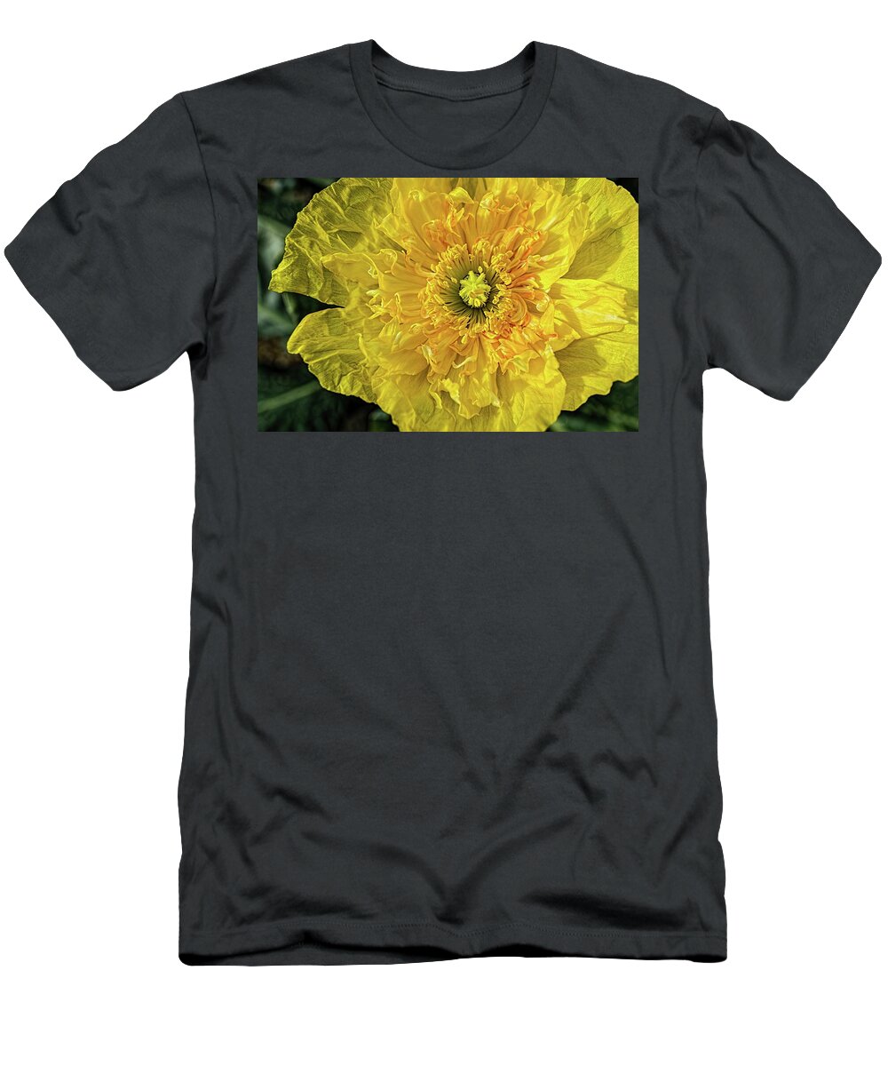 Papaver Nudicaule T-Shirt featuring the photograph Yellow Icelandic Poppie Newly Opened by Kenneth Roberts