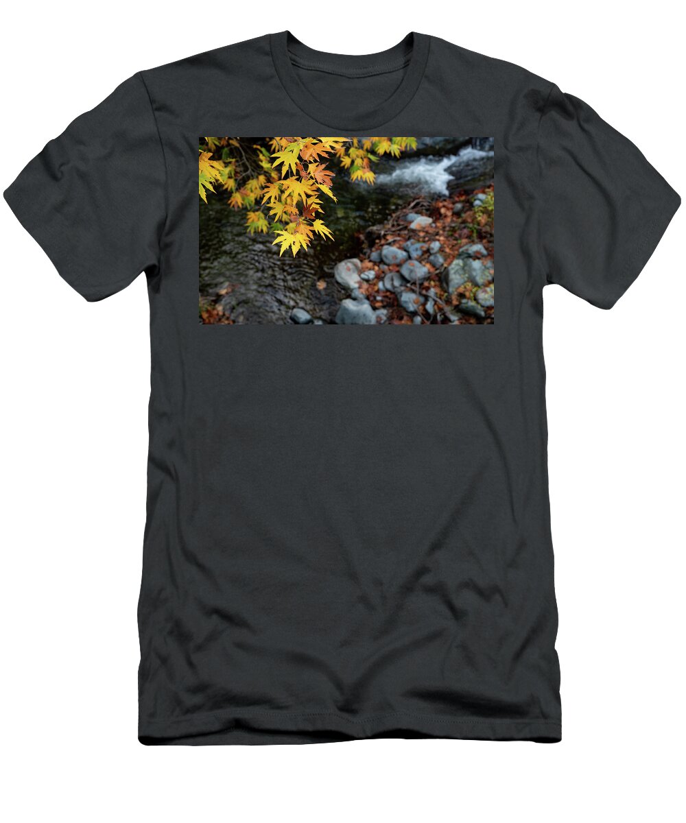 Autumn T-Shirt featuring the photograph Yellow maple leaves on a tree above a river from the beautiful by Michalakis Ppalis