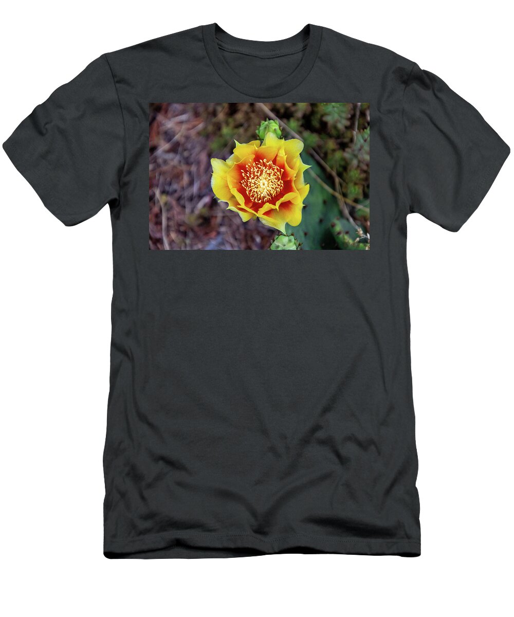 Flower T-Shirt featuring the photograph Yellow Orange Cactus Flower by Matt Sexton