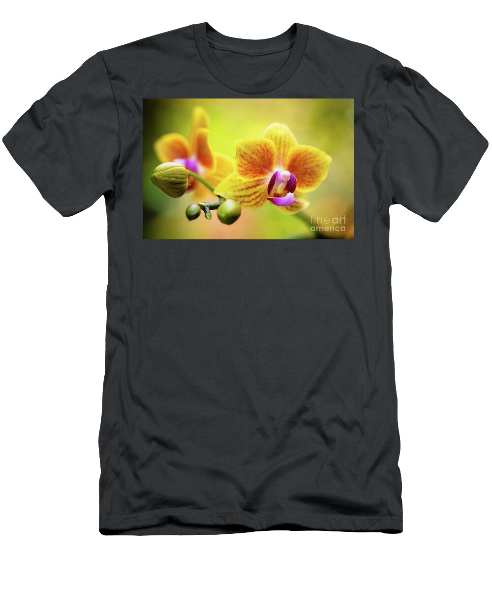 Background T-Shirt featuring the photograph Yellow Orchid Flowers by Raul Rodriguez