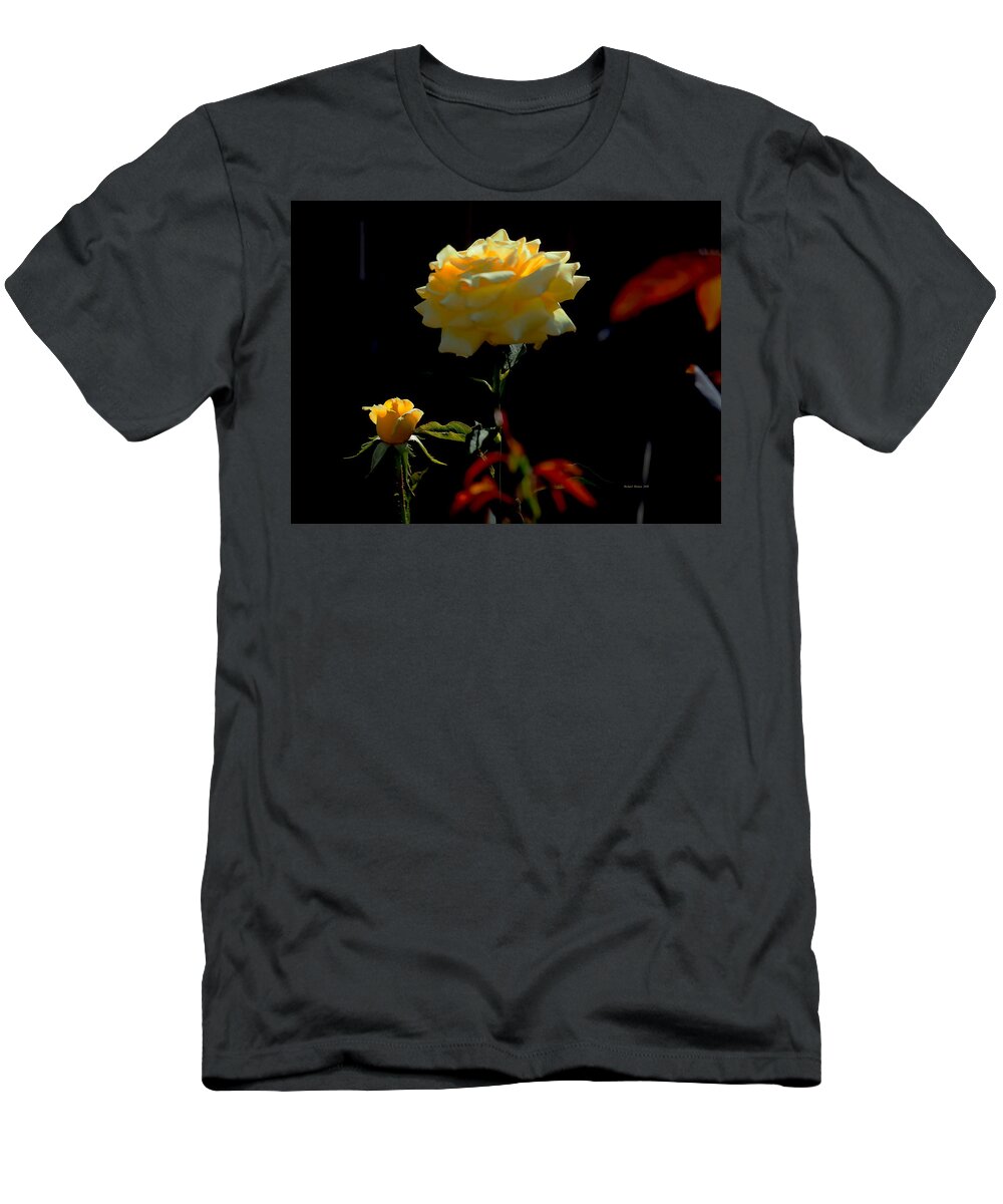 Botanical T-Shirt featuring the photograph Yellow Rose Summer Back Light by Richard Thomas