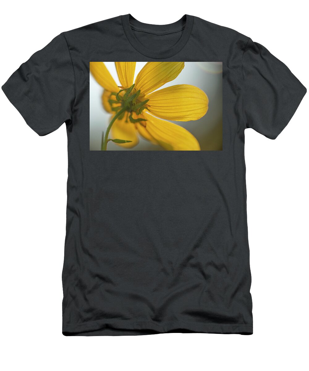 Daisy T-Shirt featuring the photograph Yellow Summer Daisy Macro by Karen Rispin
