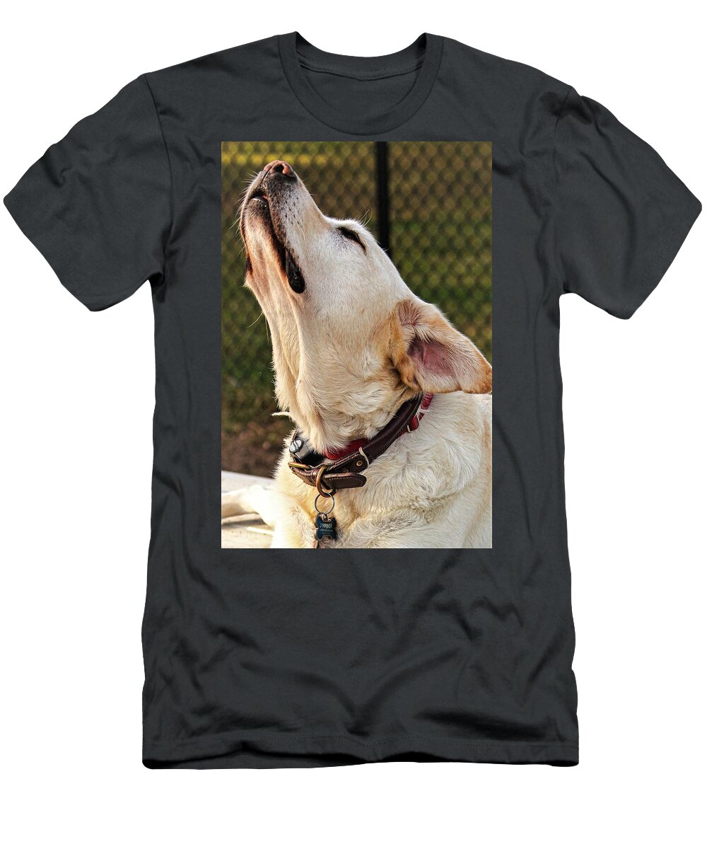 Dog T-Shirt featuring the photograph Yellow1 by John Linnemeyer