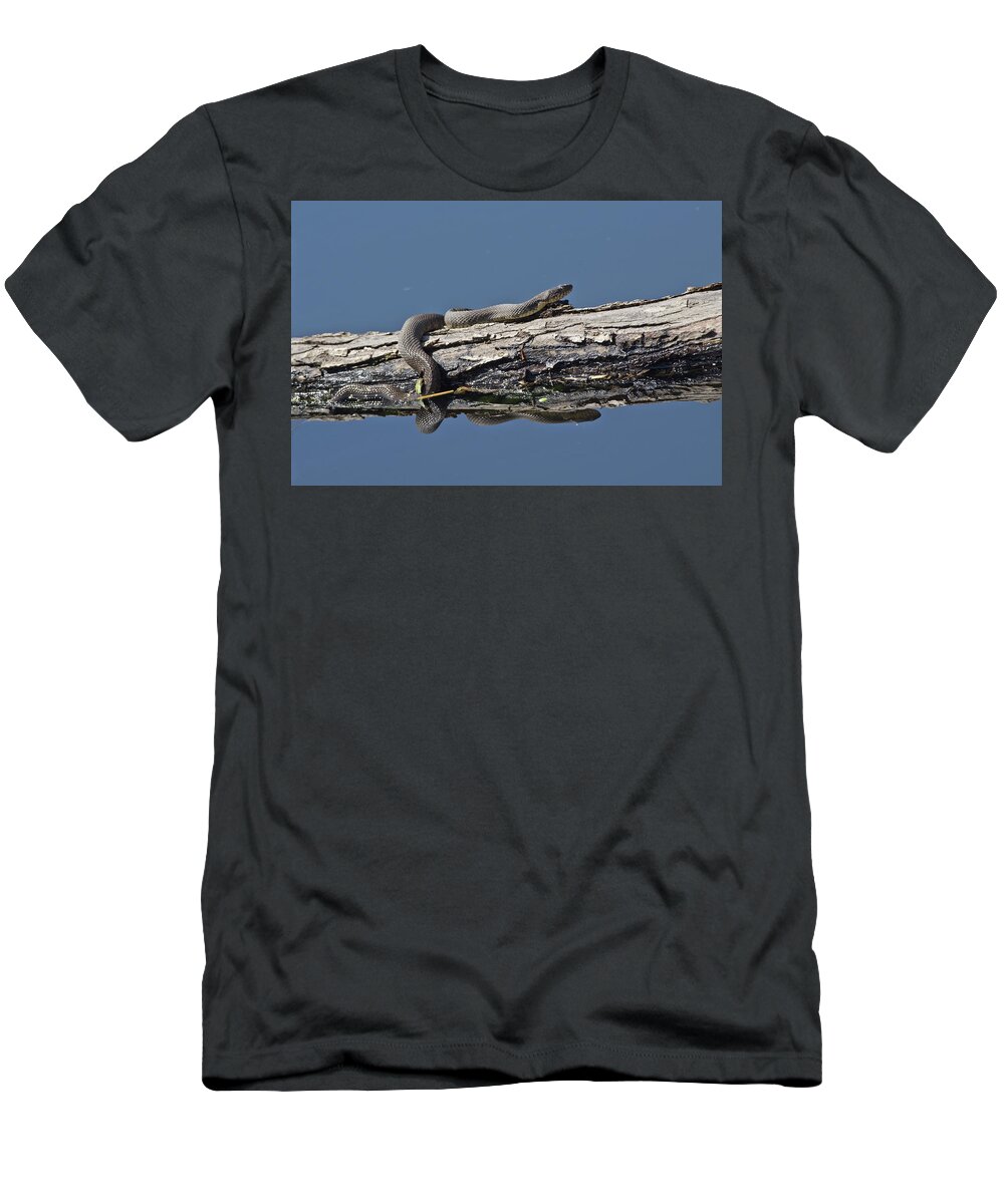 Wildlife T-Shirt featuring the photograph Yellowbelly Water Snake - 8494 by Jerry Owens