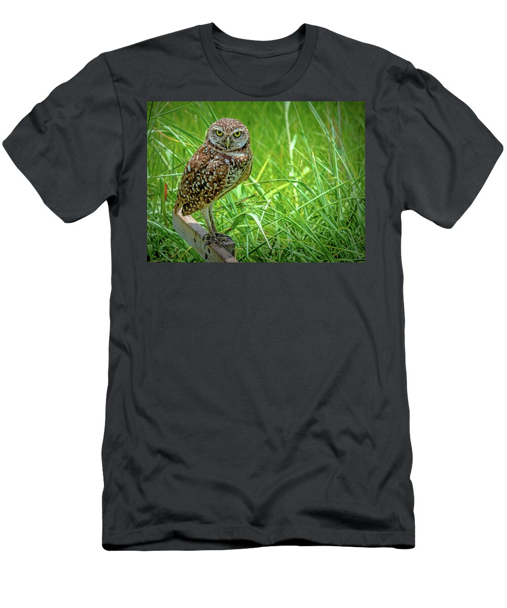 Burrowing Owl T-Shirt featuring the photograph You Lookin' At Me? by Debra Kewley
