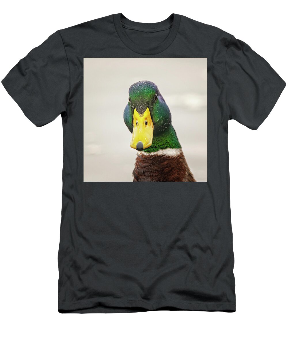 Allard T-Shirt featuring the photograph You Looking at Me by Bob Decker