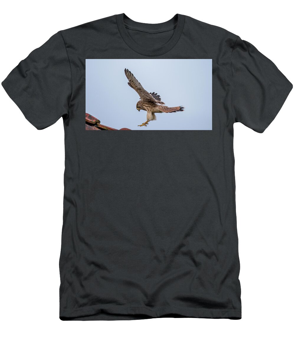 Kestrel T-Shirt featuring the photograph Young European Kestrel Landing by Torbjorn Swenelius