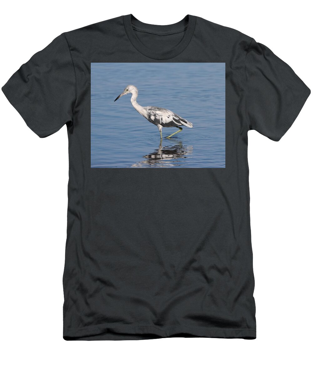 Little Blue Heron T-Shirt featuring the photograph Young little Blue Heron 2 by Mingming Jiang