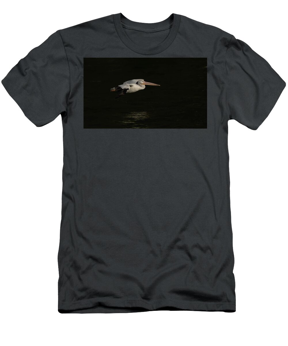 American White Pelican T-Shirt featuring the photograph Young Pelican 2016-8 by Thomas Young