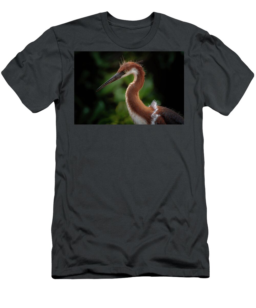 Juvenile Tri Colored Heron T-Shirt featuring the photograph Young Tri Colored Heron by Rebecca Herranen