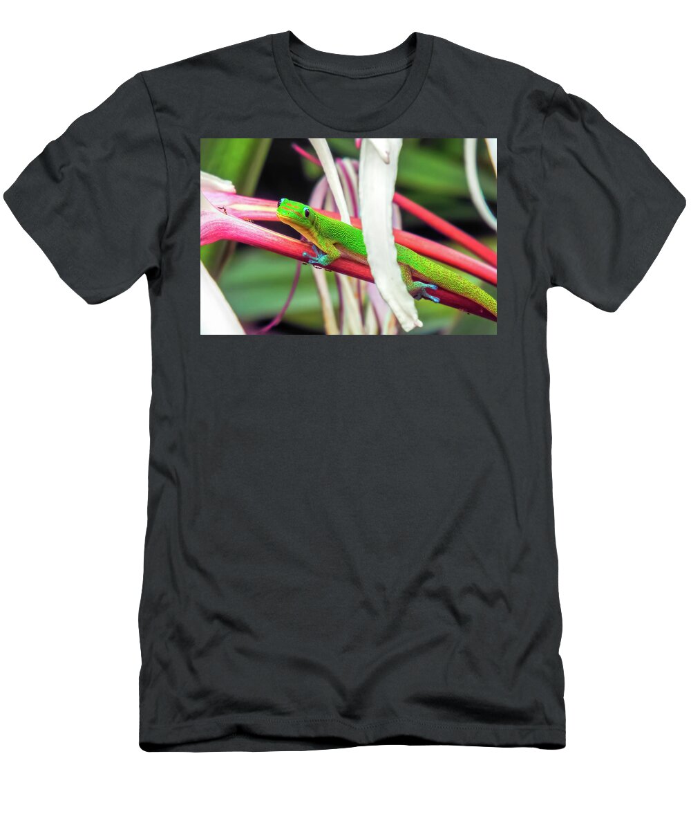 Gecko T-Shirt featuring the photograph Yum - I Love Ants by David Lawson