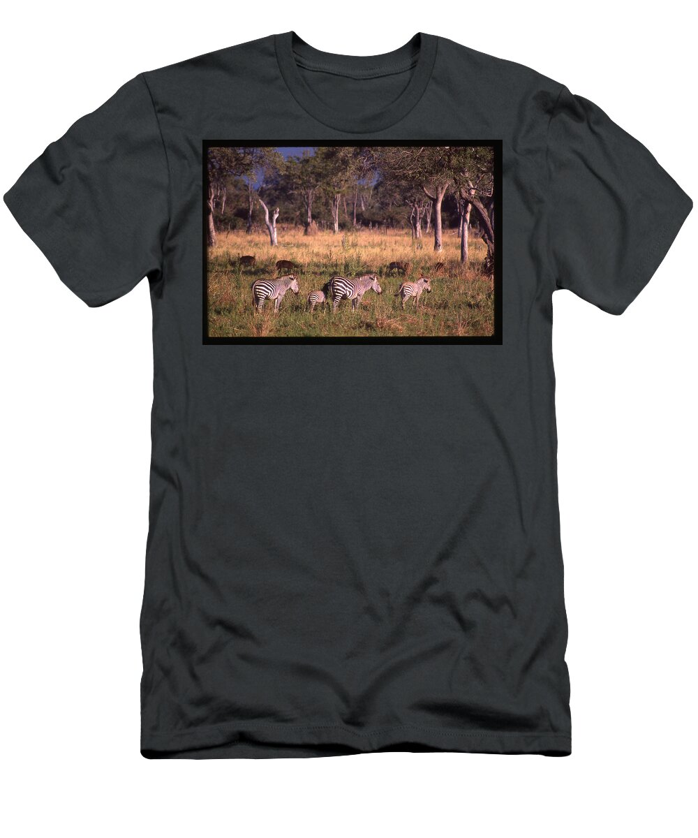 Africa T-Shirt featuring the photograph Zebra Family Landscape by Russ Considine