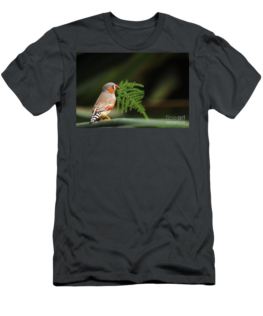 Zebra T-Shirt featuring the photograph Zebra finch by Frederic Bourrigaud