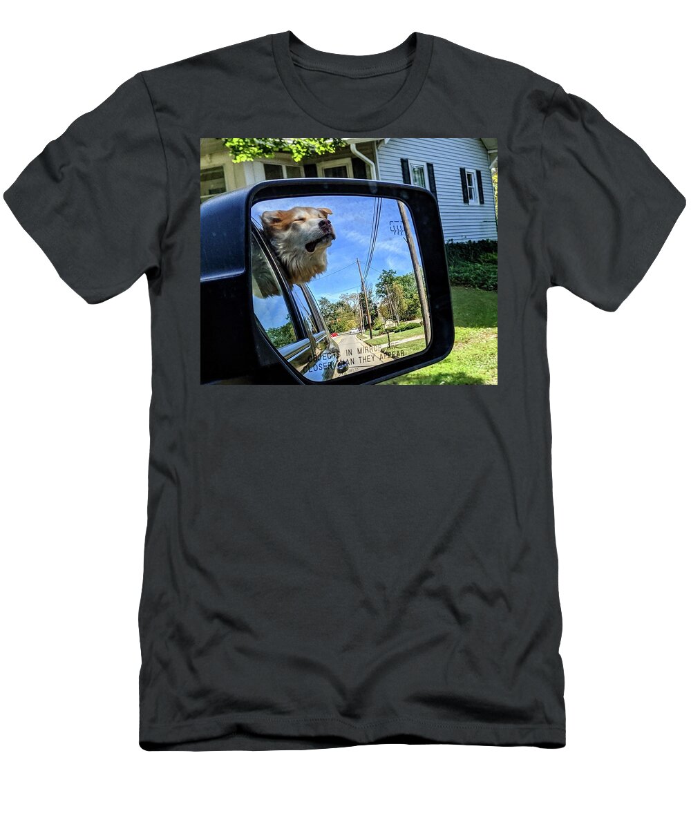  T-Shirt featuring the photograph Zen Doggo by Brad Nellis