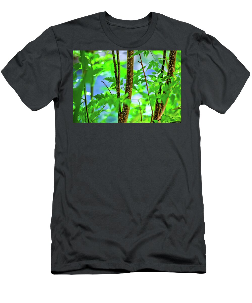 Zen Forest T-Shirt featuring the photograph Zen Forest by Az Jackson