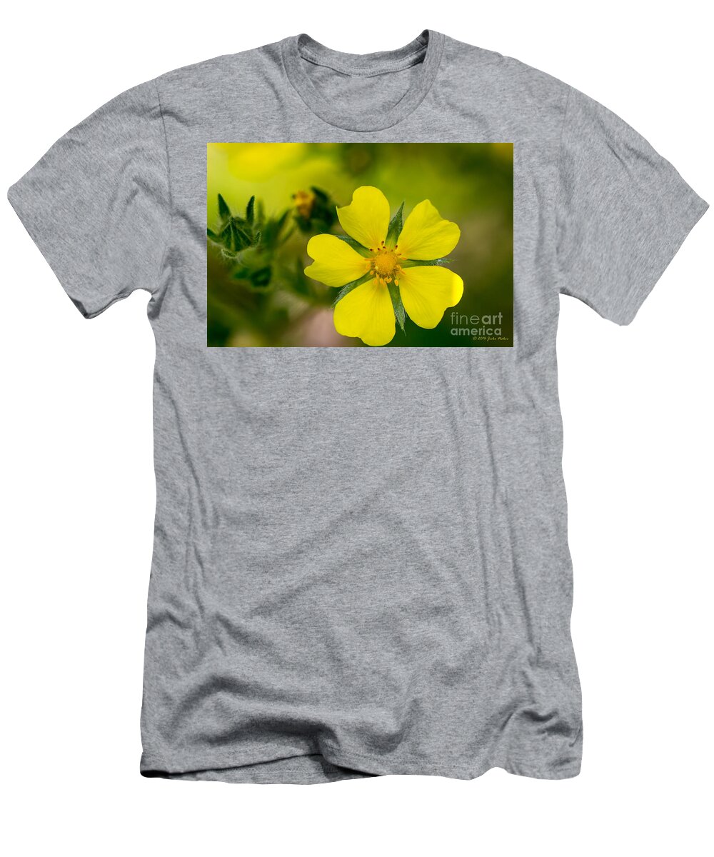 Bulgaria T-Shirt featuring the photograph 02 Cinquefoil wild flower by Jivko Nakev