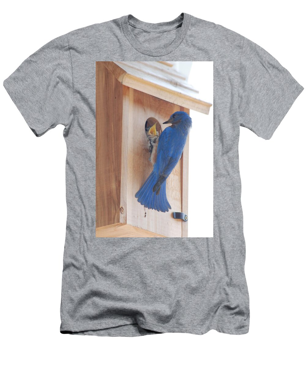 Bird T-Shirt featuring the photograph Bluebird of Happiness #1 by Kenny Glover