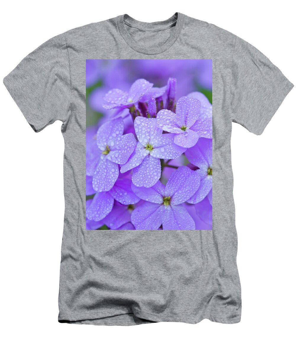 American Garden T-Shirt featuring the photograph Dew On Phlox #1 by Michael Lustbader