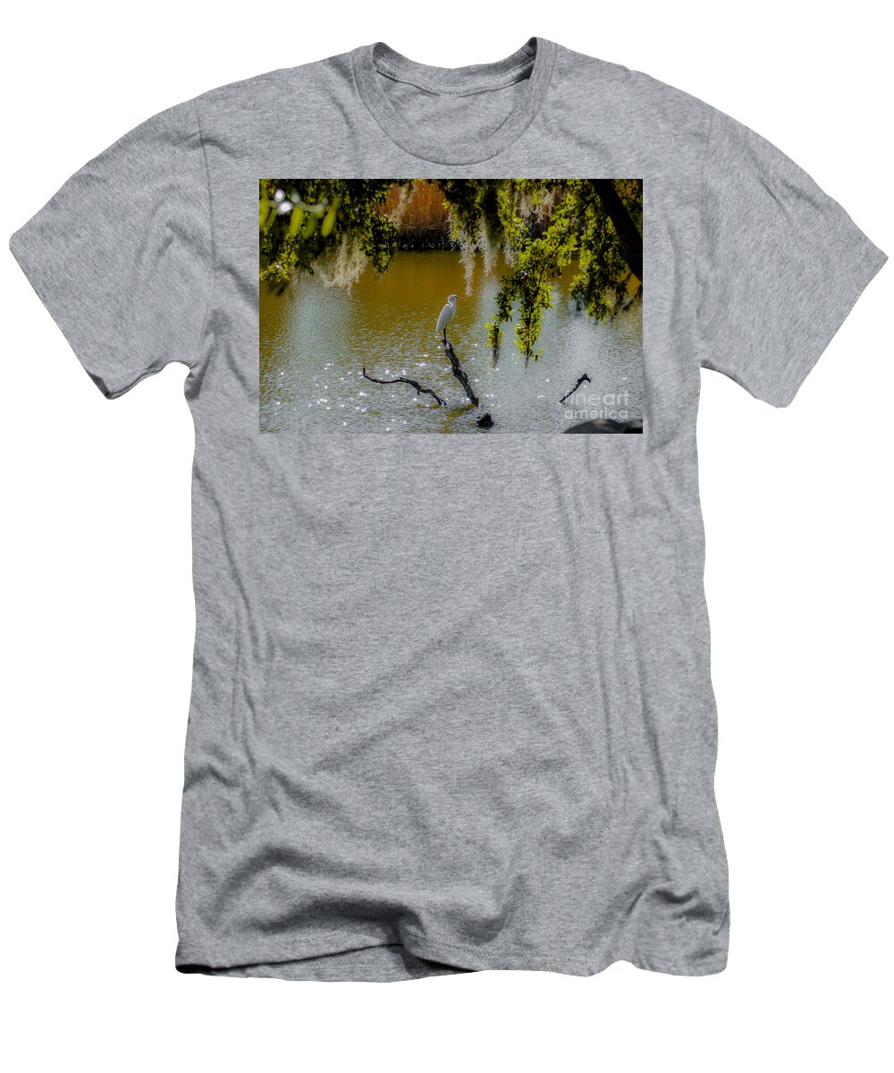 White Heron T-Shirt featuring the photograph Egret #1 by Dale Powell