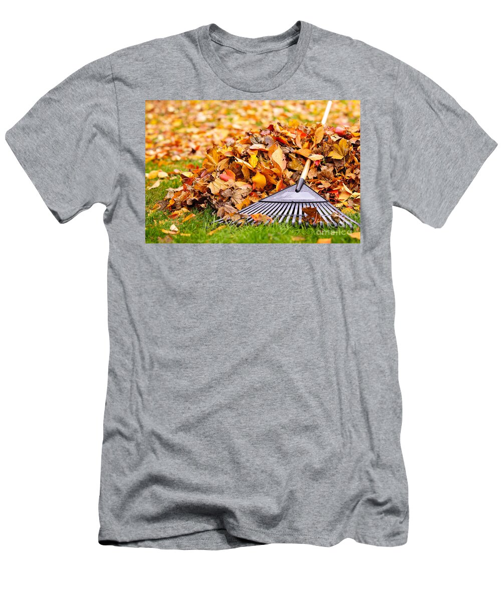 Rake T-Shirt featuring the photograph Fall leaves with rake by Elena Elisseeva